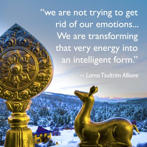 lama_quote_deer_symbol_emotions